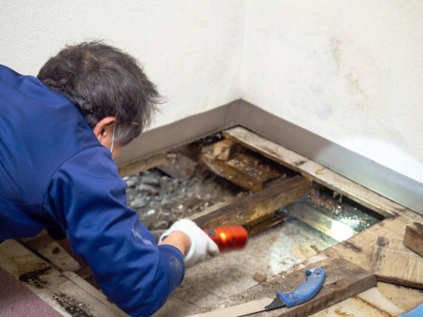 Best Water Damage Restoration  in Pymatuning Central, PA