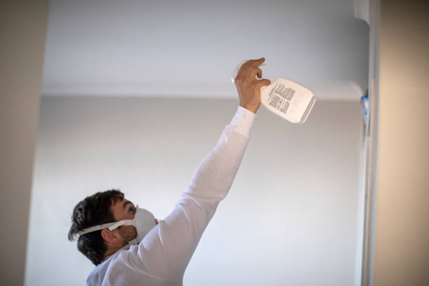 Best Attic Mold Removal  in Pymatuning Central, PA