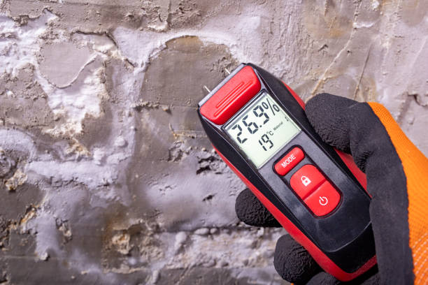 Best Mold Testing  in Pymatuning Central, PA