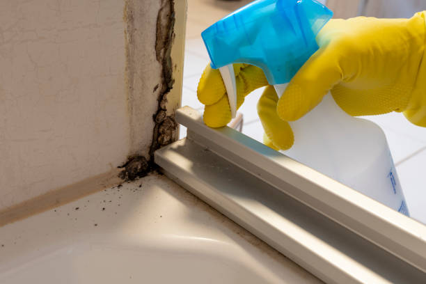Office Mold Removal Services in Pymatuning Central, PA
