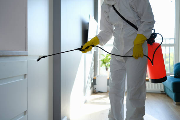 Best Same-Day Mold Removal  in Pymatuning Central, PA