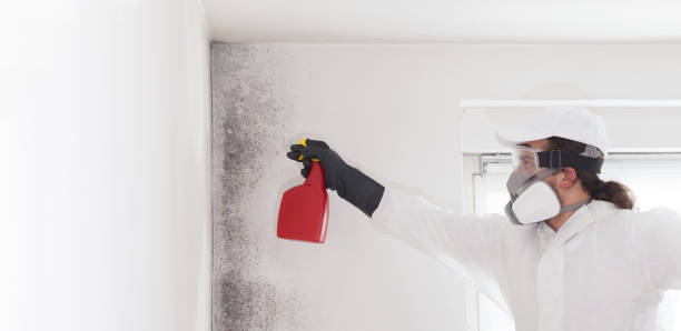 Best Mold Testing  in Pymatuning Central, PA