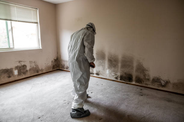 Best Mold Removal and Inspection  in Pymatuning Central, PA
