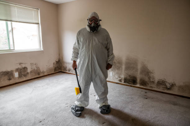 Best Office Mold Removal Services  in Pymatuning Central, PA